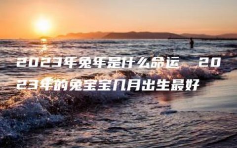 2023年兔年是什么命运  2023年的兔宝宝几月出生最好