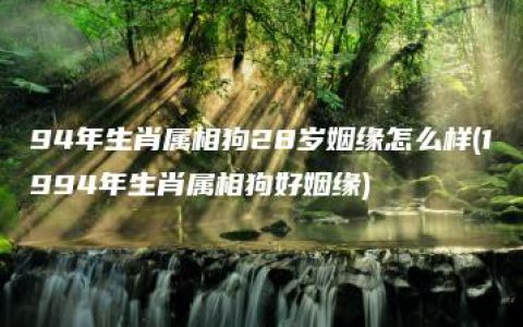 94年生肖属相狗28岁姻缘怎么样(1994年生肖属相狗好姻缘)