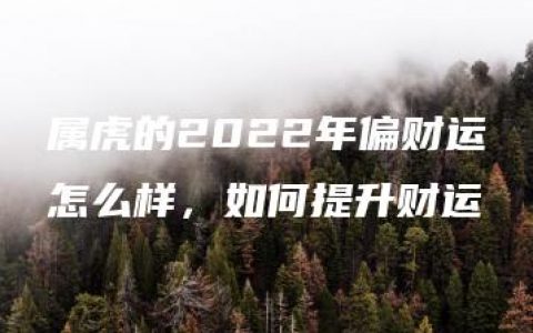 属虎的2022年偏财运怎么样，如何提升财运