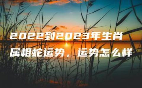 2022到2023年生肖属相蛇运势，运势怎么样