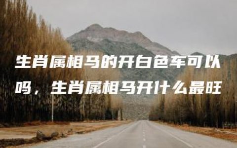 生肖属相马的开白色车可以吗，生肖属相马开什么最旺