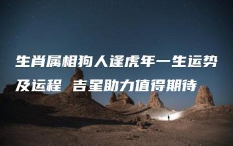 生肖属相狗人逢虎年一生运势及运程 吉星助力值得期待