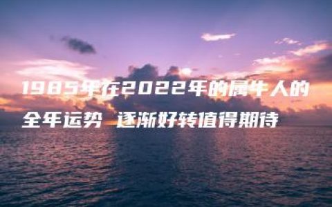 1985年在2022年的属牛人的全年运势 逐渐好转值得期待