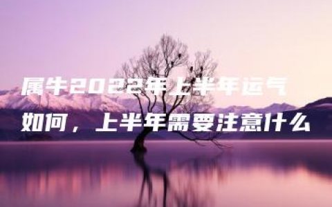 属牛2022年上半年运气如何，上半年需要注意什么