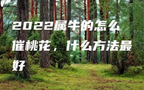 2022属牛的怎么催桃花，什么方法最好