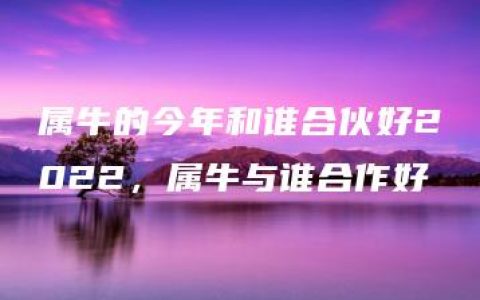 属牛的今年和谁合伙好2022，属牛与谁合作好