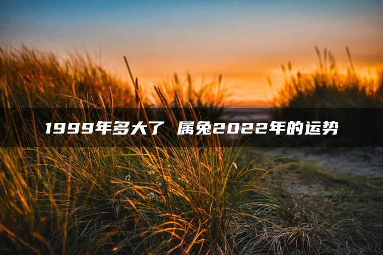 1999年多大了 属兔2022年的运势