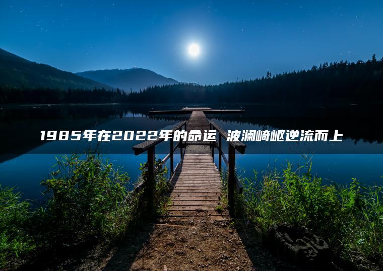 1985年在2022年的命运 波澜崎岖逆流而上