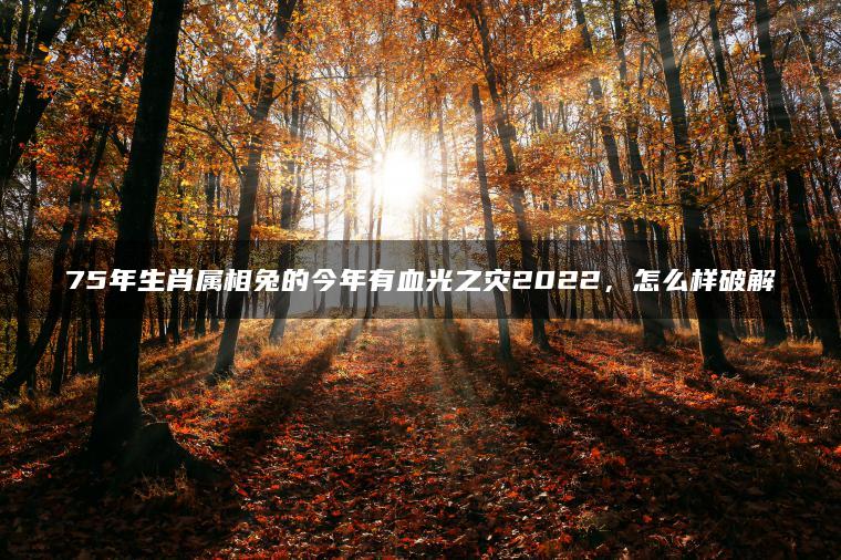 75年生肖属相兔的今年有血光之灾2022，怎么样破解