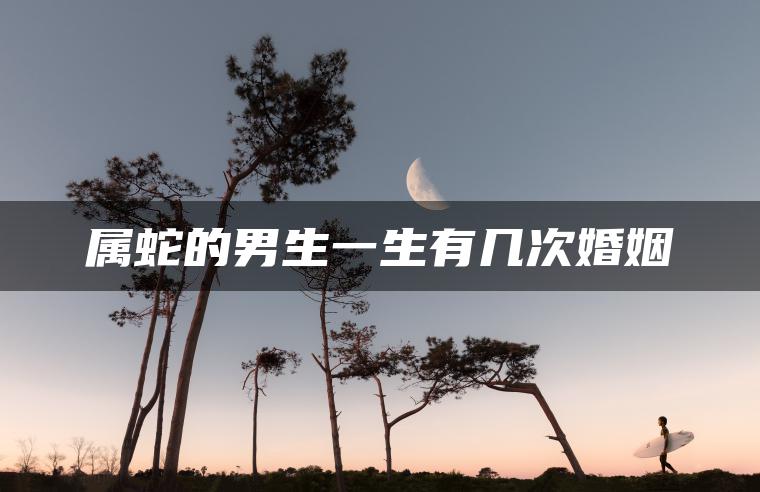 属蛇的男生一生有几次婚姻