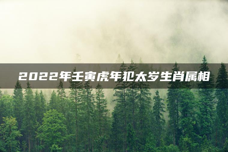 2022年壬寅虎年犯太岁生肖属相