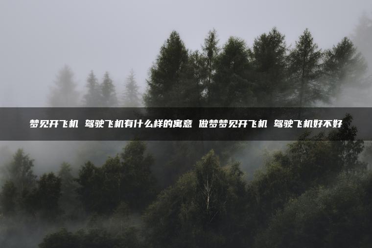 梦见开飞机 驾驶飞机有什么样的寓意 做梦梦见开飞机 驾驶飞机好不好