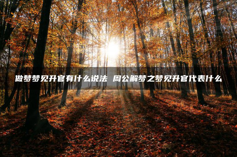 做梦梦见升官有什么说法 周公解梦之梦见升官代表什么