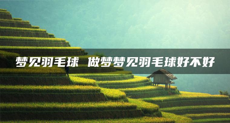 梦见羽毛球 做梦梦见羽毛球好不好