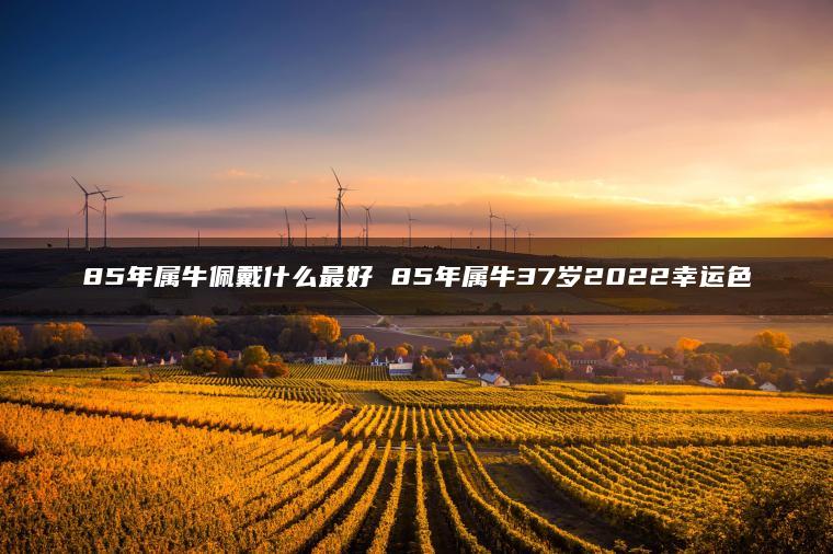 85年属牛佩戴什么最好 85年属牛37岁2022幸运色