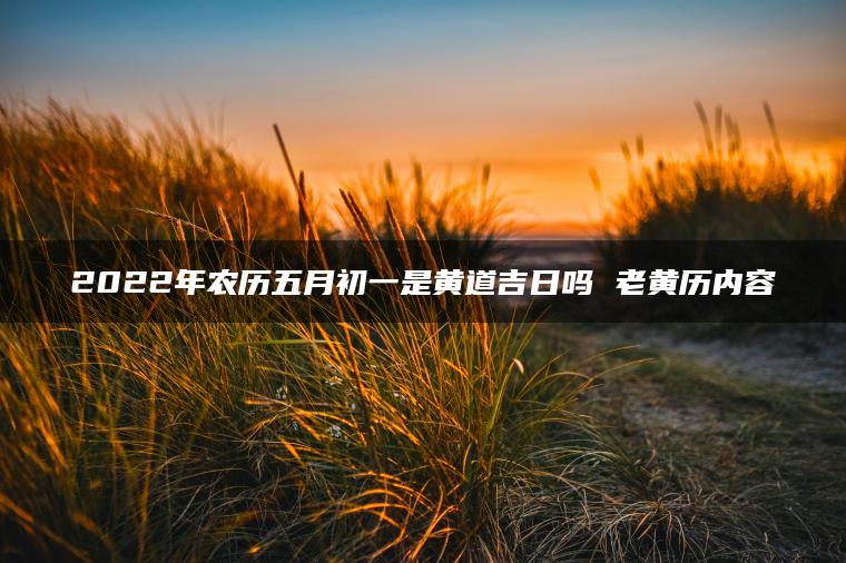 2022年农历五月初一是黄道吉日吗 老黄历内容