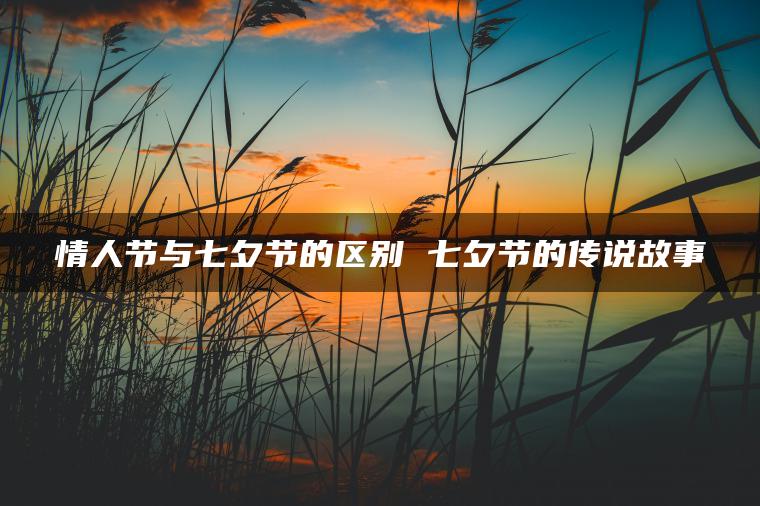 情人节与七夕节的区别 七夕节的传说故事