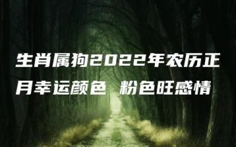 生肖属狗2022年农历正月幸运颜色 粉色旺感情