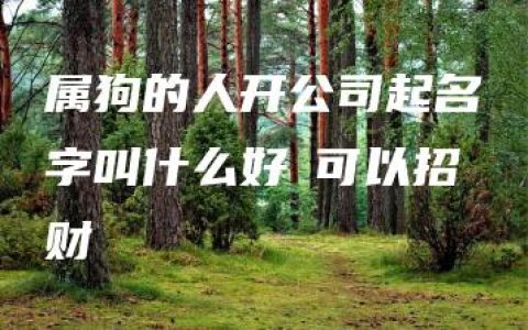 属狗的人开公司起名字叫什么好 可以招财