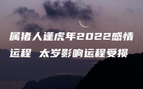 属猪人逢虎年2022感情运程 太岁影响运程受损