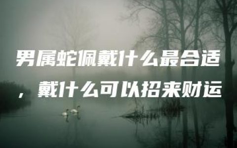 男属蛇佩戴什么最合适，戴什么可以招来财运