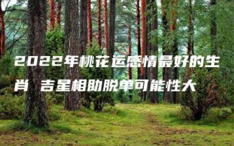 2022年桃花运感情最好的生肖 吉星相助脱单可能性大