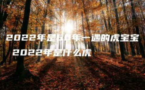 2022年是60年一遇的虎宝宝 2022年是什么虎