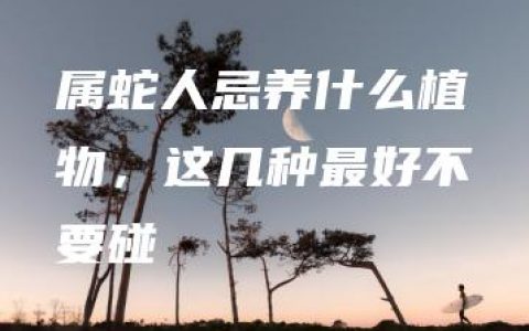 属蛇人忌养什么植物，这几种最好不要碰