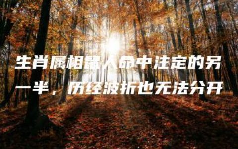 生肖属相鼠人命中注定的另一半，历经波折也无法分开