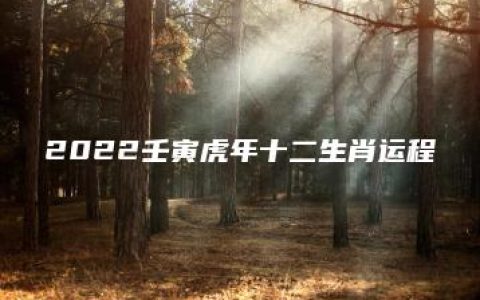 2022壬寅虎年十二生肖运程