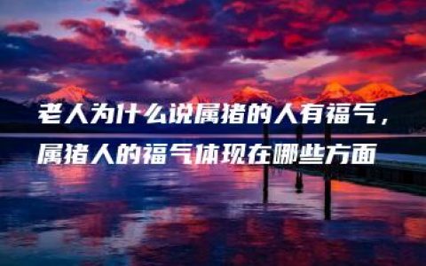 老人为什么说属猪的人有福气，属猪人的福气体现在哪些方面