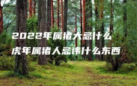 2022年属猪大忌什么  虎年属猪人忌讳什么东西