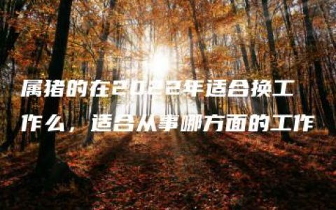 属猪的在2022年适合换工作么，适合从事哪方面的工作