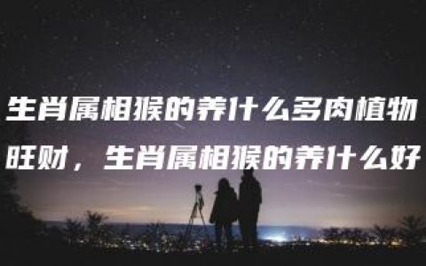 生肖属相猴的养什么多肉植物旺财，生肖属相猴的养什么好