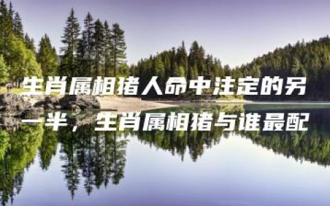 生肖属相猪人命中注定的另一半，生肖属相猪与谁最配