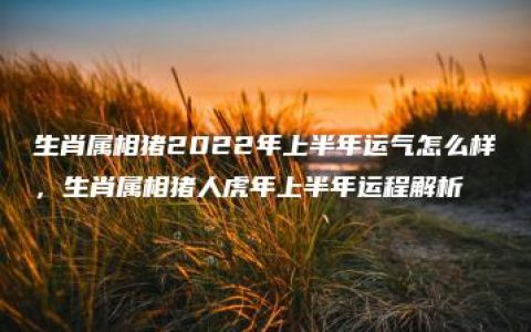 生肖属相猪2022年上半年运气怎么样，生肖属相猪人虎年上半年运程解析