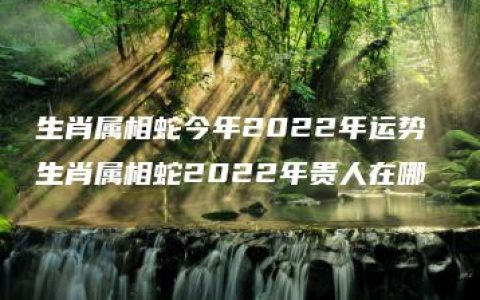 生肖属相蛇今年2022年运势 生肖属相蛇2022年贵人在哪