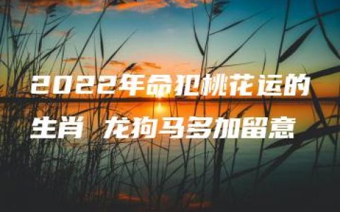 2022年命犯桃花运的生肖 龙狗马多加留意