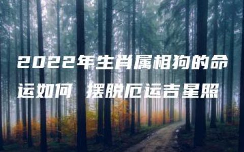 2022年生肖属相狗的命运如何 摆脱厄运吉星照