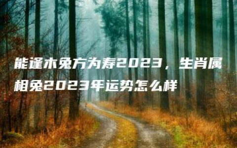 能逢木兔方为寿2023，生肖属相兔2023年运势怎么样