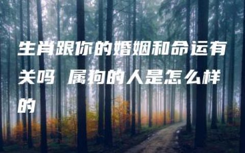 生肖跟你的婚姻和命运有关吗 属狗的人是怎么样的