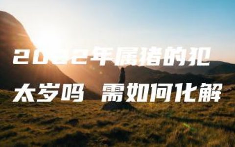 2022年属猪的犯太岁吗 需如何化解