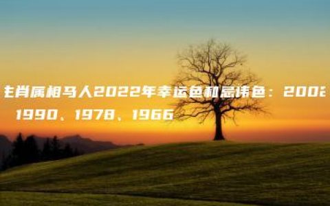 生肖属相马人2022年幸运色和忌讳色：2002、1990、1978、1966