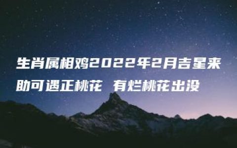 生肖属相鸡2022年2月吉星来助可遇正桃花 有烂桃花出没