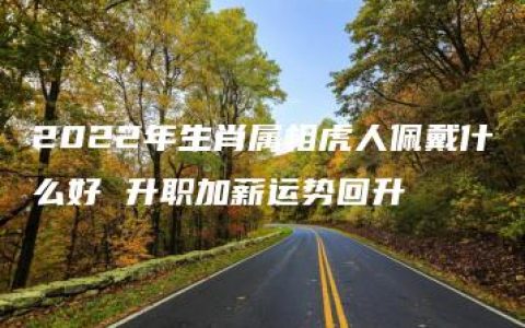 2022年生肖属相虎人佩戴什么好 升职加薪运势回升