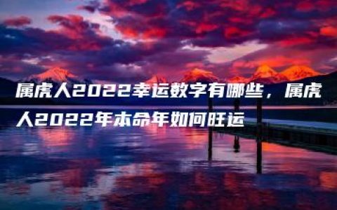 属虎人2022幸运数字有哪些，属虎人2022年本命年如何旺运