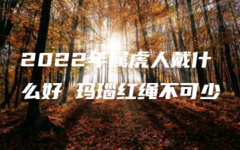 2022年属虎人戴什么好 玛瑙红绳不可少