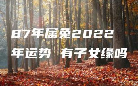 87年属兔2022年运势 有子女缘吗