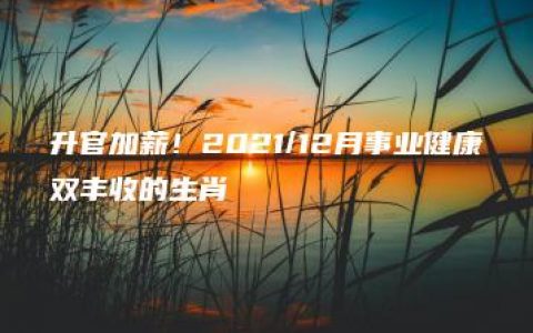 升官加薪！2021/12月事业健康双丰收的生肖