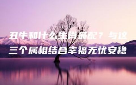 丑牛和什么生肖最配？与这三个属相结合幸福无忧安稳